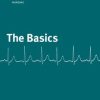 The Basics (Kaplan Nursing) (EPUB)