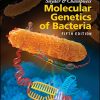 Snyder and Champness Molecular Genetics of Bacteria (ASM Books), 5th Edition (PDF)