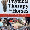 Physical Therapy for Horses: A Visual Course in Massage, Stretching, Rehabilitation, Anatomy, and Biomechanics (EPUB)