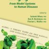 Oxidative Stress in Aging: From Model Systems to Human Diseases (EPUB)