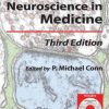 Neuroscience in Medicine / Edition 3 (EPUB)