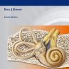 Roeser’s Audiology Desk Reference, 2ed (PDF)