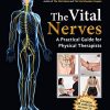 The Vital Nerves: A Practical Guide for Physical Therapists (EPUB)