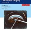 Minimally Invasive Glaucoma Surgery: A Practical Guide (EPUB)