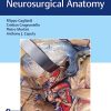 Operative Cranial Neurosurgical Anatomy (PDF)