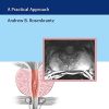MRI of the Prostate: A Practical Approach (EPUB)