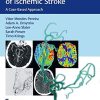 Endovascular Management of Ischemic Stroke: A Case-Based Approach (PDF)