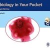 Microbiology in Your Pocket: Quick Pathogen Review (PDF Book)