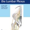 Surgical Anatomy of the Lumbar Plexus (EPUB)