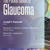 The Pocket Guide to Glaucoma 2020 Original PDF