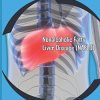 Nonalcoholic Fatty Liver Disease (NAFLD) (PDF)