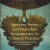 Applying Stems and Branches Acupuncture in Clinical Practice (EPUB)