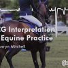 ECG Interpretation in Equine Practice (PDF)