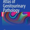 Atlas of Genitourinary Pathology (PDF)