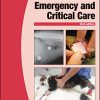 BSAVA Manual of Canine and Feline Emergency and Critical Care, 3rd Edition (BSAVA British Small Animal Veterinary Association) (PDF Book)