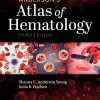 Anderson’s Atlas of Hematology, 3rd Edition (EPUB)