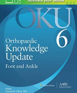 Orthopaedic Knowledge Update: Foot and Ankle 6 (EPUB + Converted PDF)