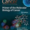 Cancer: Principles and Practice of Oncology Primer of Molecular Biology in Cancer (EPUB)