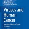 Viruses and Human Cancer: From Basic Science to Clinical Prevention (Recent Results in Cancer Research, 217), 2nd Edition (PDF)