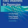 rTMS Treatment for Depression: A Practical Guide (PDF)