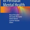 Key Topics in Perinatal Mental Health (PDF)
