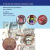 Endoscopic Approaches to the Paranasal Sinuses and Skull Base: A Step-by-Step Anatomic Dissection Guide (PDF)