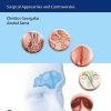 The Frontal Sinus: Surgical Approaches and Controversies (PDF Book+Videos)