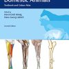 Veterinary Anatomy of Domestic Animals: Textbook and Colour Atlas (True PDF)