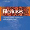 Filoviruses: A Compendium of 40 Years of Epidemiological, Clinical, and Laboratory Studies (PDF)