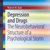 Depression and Drugs: The Neurobehavioral Structure of a Psychological Storm (EPUB)