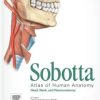 Sobotta Atlas of Human Anatomy, 15th Edition, ENGLISH: Head, Neck and Neuroanatomy (EPUB)