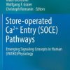 Store-operated Ca2+ entry (SOCE) pathways: Emerging signaling concepts in human (patho)physiology (EPUB)