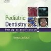 Paediatric Dentistry: Principles and Practice, 2nd Edition (PDF Book)