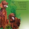 Infectious diseases in dogs (EPUB)