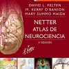 Netter. Atlas de neurociencia (3ª ed.) (Spanish Edition) (PDF)