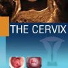 The Cervix (PDF)