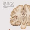 SISTEMA NERVIOSO. NEUROANATOMÍA FUNCIONAL Y CLÍNICA (PDF)
