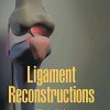Ligament Reconstructions (World Scientific Series: From Biomaterials Towards Medical D) (PDF)