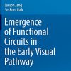 Emergence of Functional Circuits in the Early Visual Pathway (KAIST Research Series) (PDF Book)