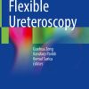 Flexible Ureteroscopy (Original PDF from Publisher)