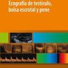 Ecografía de Testículo, Bolsa Escrotal y Pene (High Quality Image PDF)