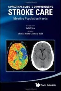 A Practical Guide to Comprehensive Stroke Care: Meeting Population Needs (PDF)
