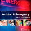 Accident & Emergency: Theory and Practice 3rd