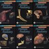 (FREE) Aclands DVD Atlas of Human Anatomy (Full 6 DVDs)