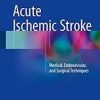 Acute Ischemic Stroke: Medical, Endovascular, and Surgical Techniques 1st e