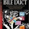 Bile Duct: Functional Anatomy, Disease and Injury Classification and Surgical Management