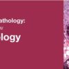 Classic Lectures in Pathology: What You Need to Know: Breast Pathology 2019 (CME VIDEOS)