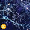 Neurology for Non-Neurologists 2022 (CME VIDEOS)