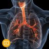 The Brigham Board Review and Comprehensive Update in Pulmonary Medicine 2022 (CME VIDEOS)