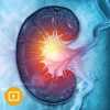 Intensive Review of Nephrology 2022 (CME VIDEOS)